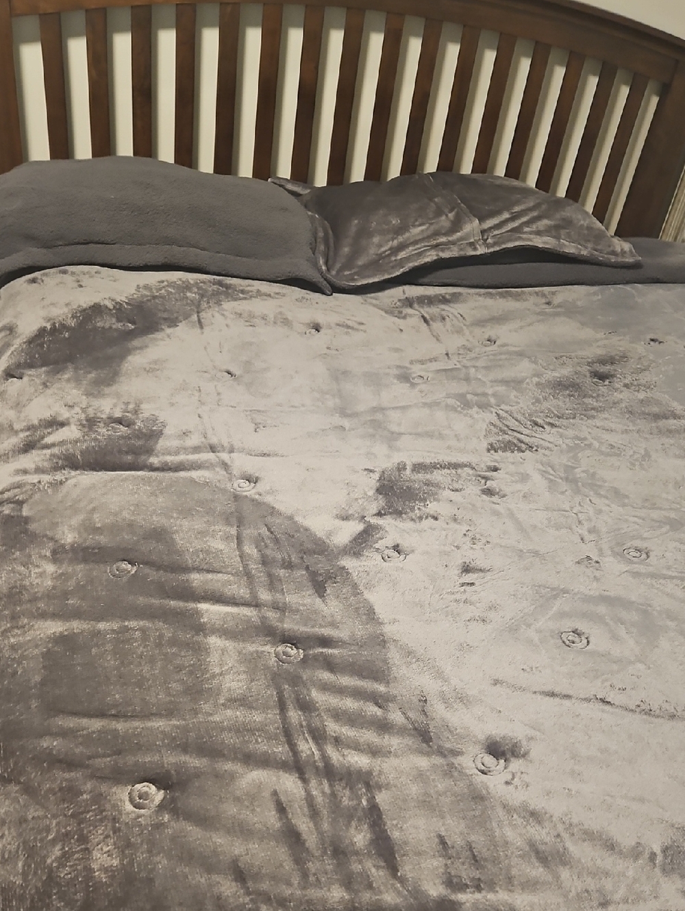 Berkshire Plush Velvet Comforter Set in Grey